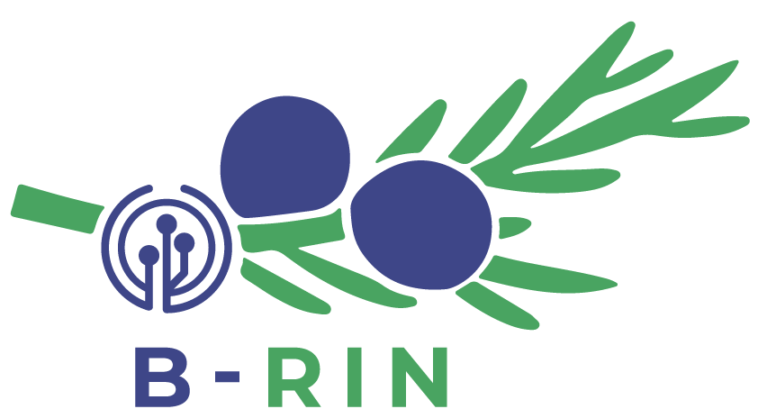 Logotip projekta B-RIN